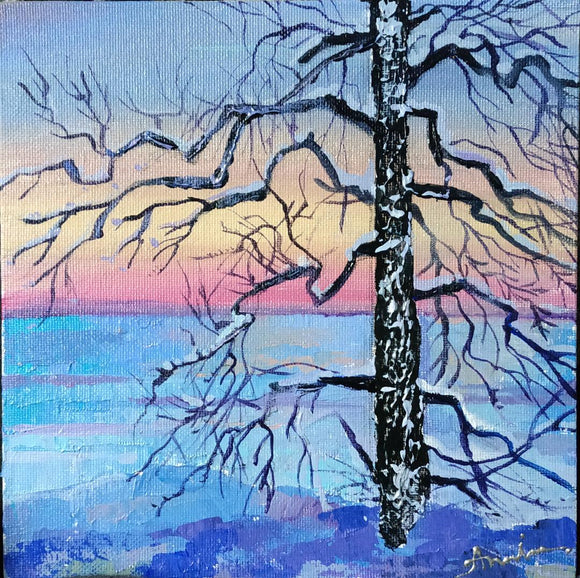 Winter sunrise