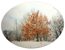 Manifesting Hope Oak Tree-1