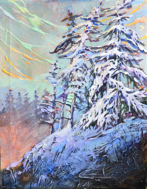 Canadian spruce
