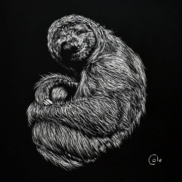 Friendly Sloth