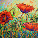 A Pop of Poppies-1