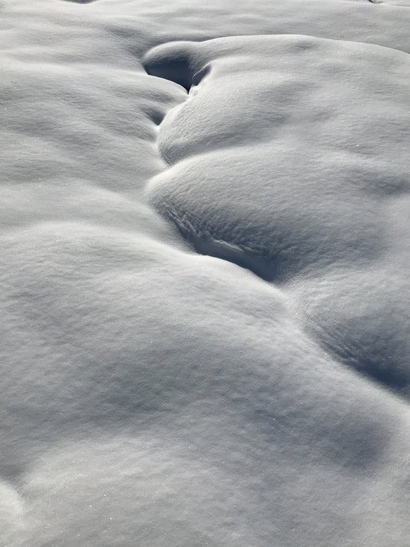 Snow seems