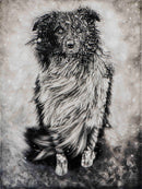 Dog in Winter-1