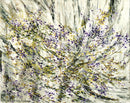 Lilac-1