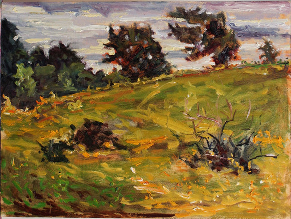 Yellow Field