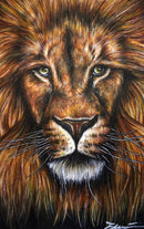 Lion Portrait-1