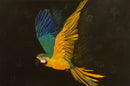 Her Wings Unfolded-1