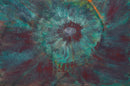 The Flower and the Sun-1