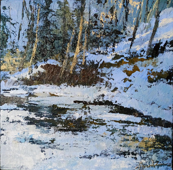 Frozen shore