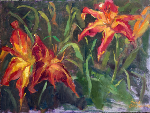 Lillies