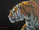 Stripes-1