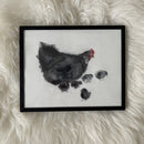 Black Chicken with chickens-2