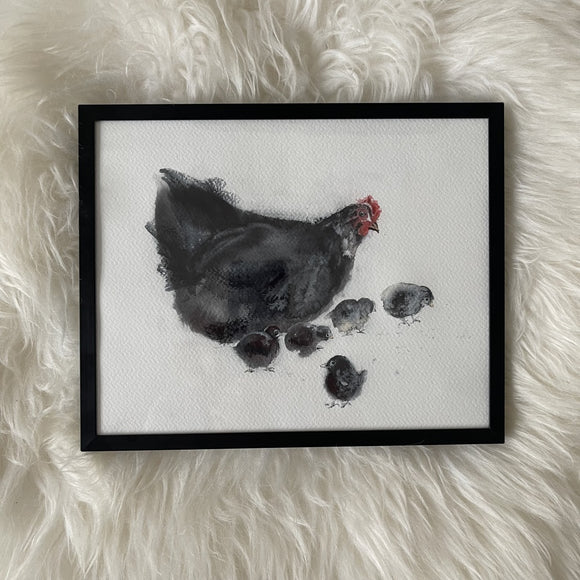 Black Chicken with chickens