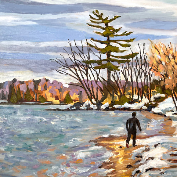 Winter Shoreline