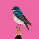 Tree Swallow on Vintage Barbie-1