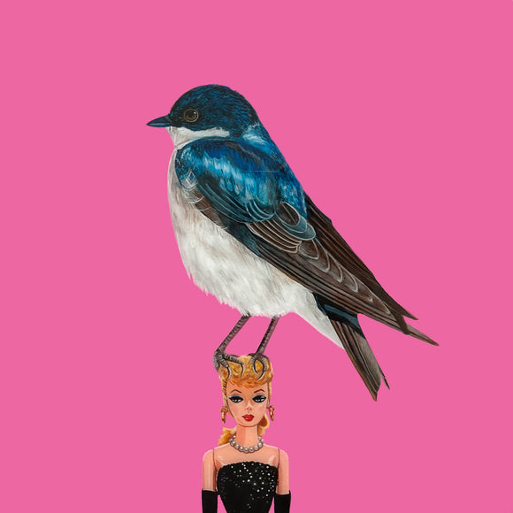 Tree Swallow on Vintage Barbie