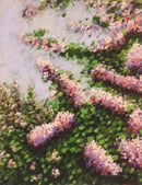 Lilacs-1