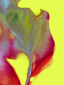 tulip 9   2019series-1