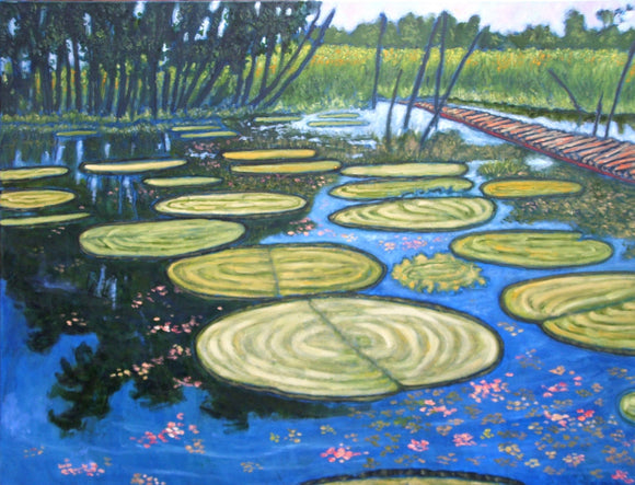 Amazon lilly pads