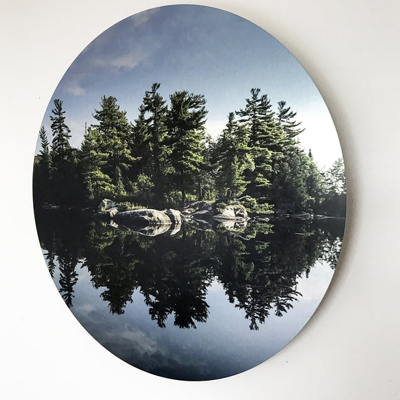 Tree Mirror