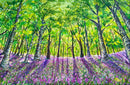 Spring Wild Flowers-1