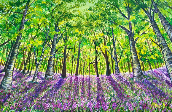 Spring Wild Flowers