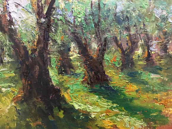 Oran olive Trees