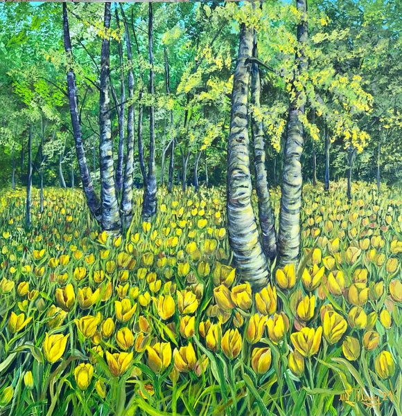Yellow Tulips