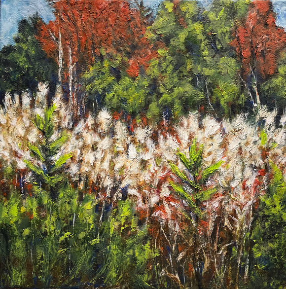 Out in the Fields