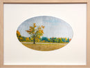 Steadfast Maple Tree-1