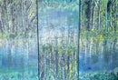 Enchanted Forest-1
