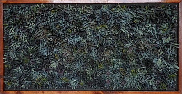 Moss covered ground