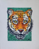Tiger-1