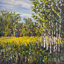 Creek's Meadow-1