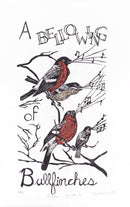 A Bellowing of Bullfinches-1