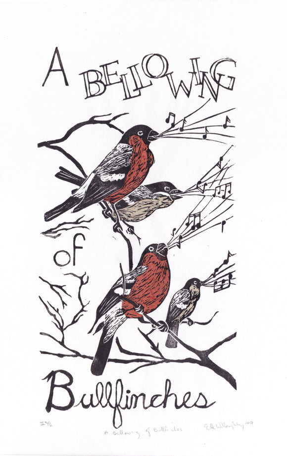 A Bellowing of Bullfinches
