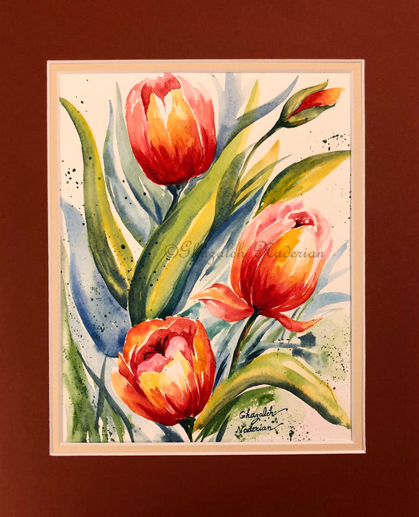 Warm Tulips