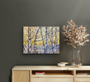 4 Seasons - Winter-2