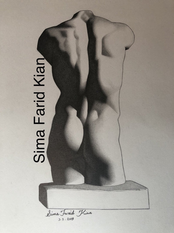 Torso