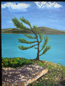 “Windswept”-4