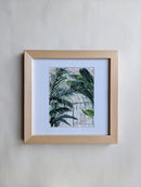 Greenhouse Studies 01-3