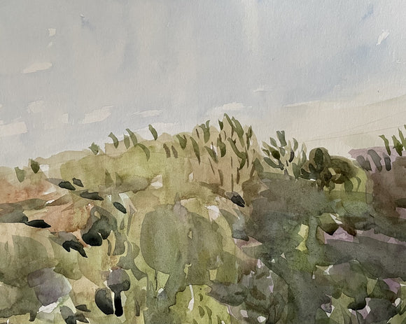 From the Mont Royal series