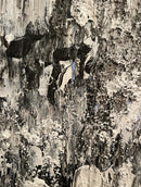 Textures of January-2
