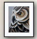 Great Horned Owl Portrait-2
