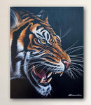 Roaring Tiger Portrait-2