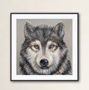 Wolf Portrait-2