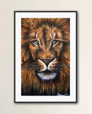 Lion Portrait-2