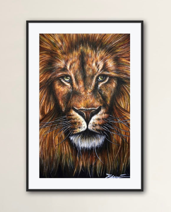 Lion Portrait