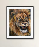 Roaring Lion Portrait-2