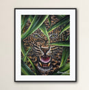 Jaguar in the Jungle-2